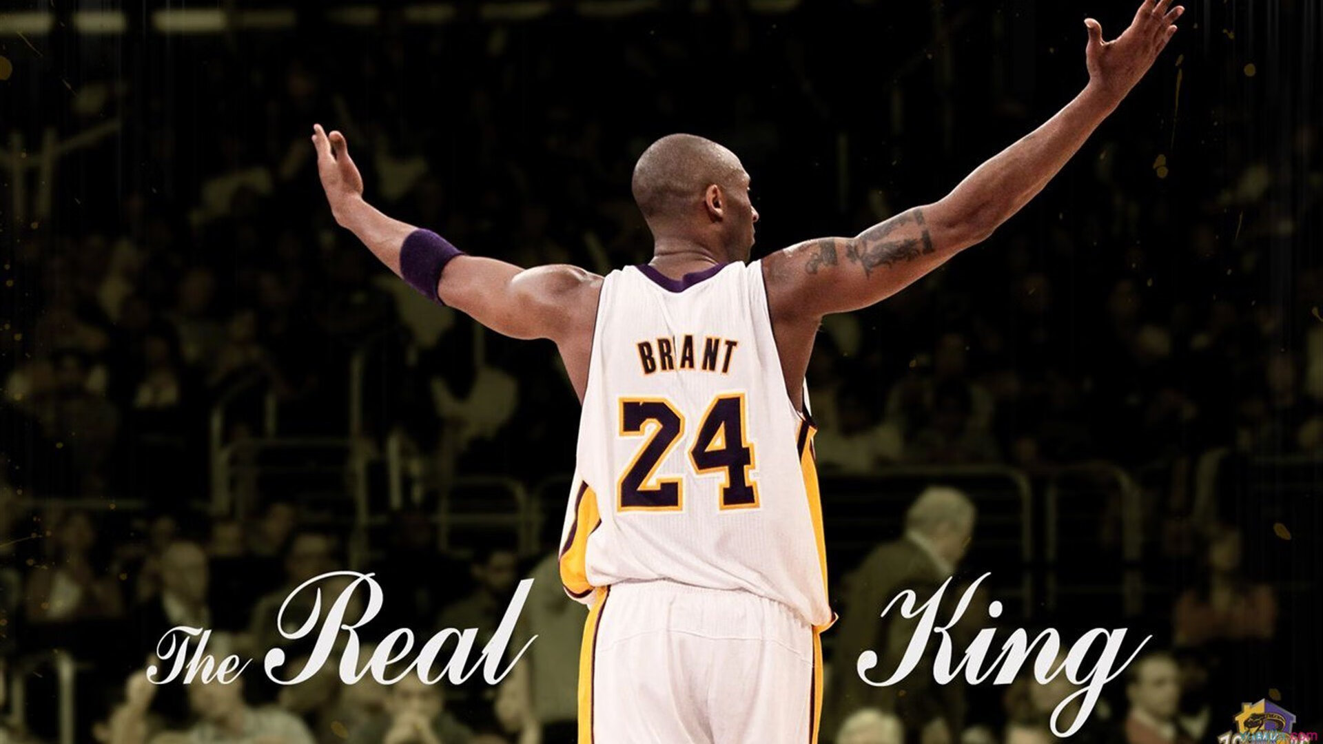 穿越火线 职业联赛持续升温，cf职业联赛赛制